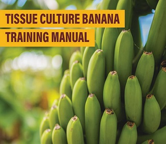 Tissue culture banana training manual