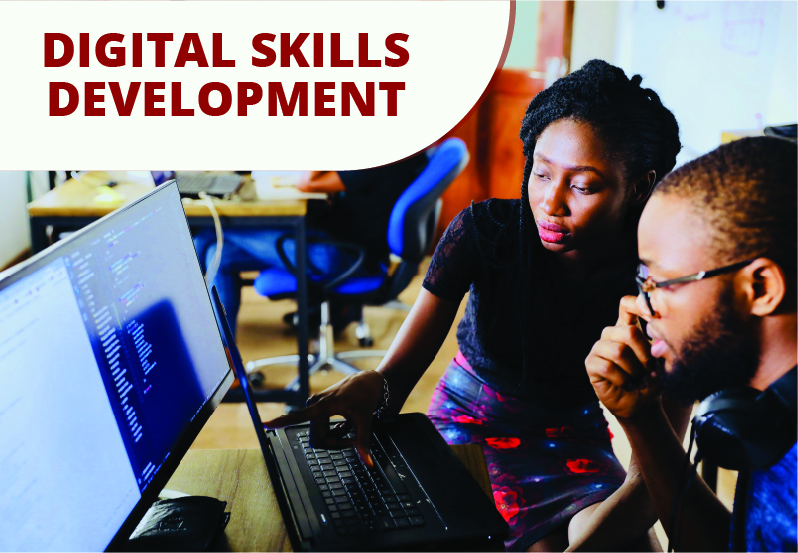 Digital Skills Development