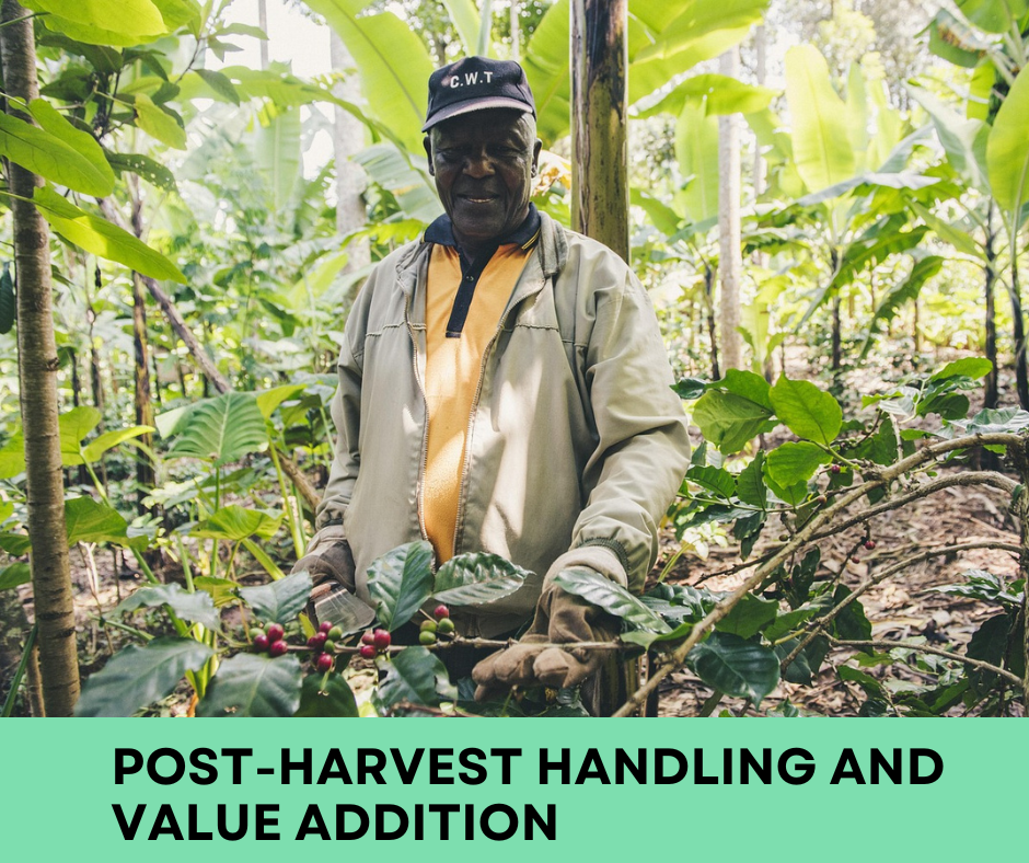 Post-Harvest Handling and Value Addition