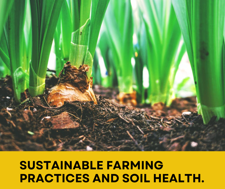 Sustainable Farming Practices and Soil Health