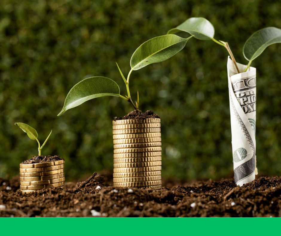 Financial Literacy and Access to Credit