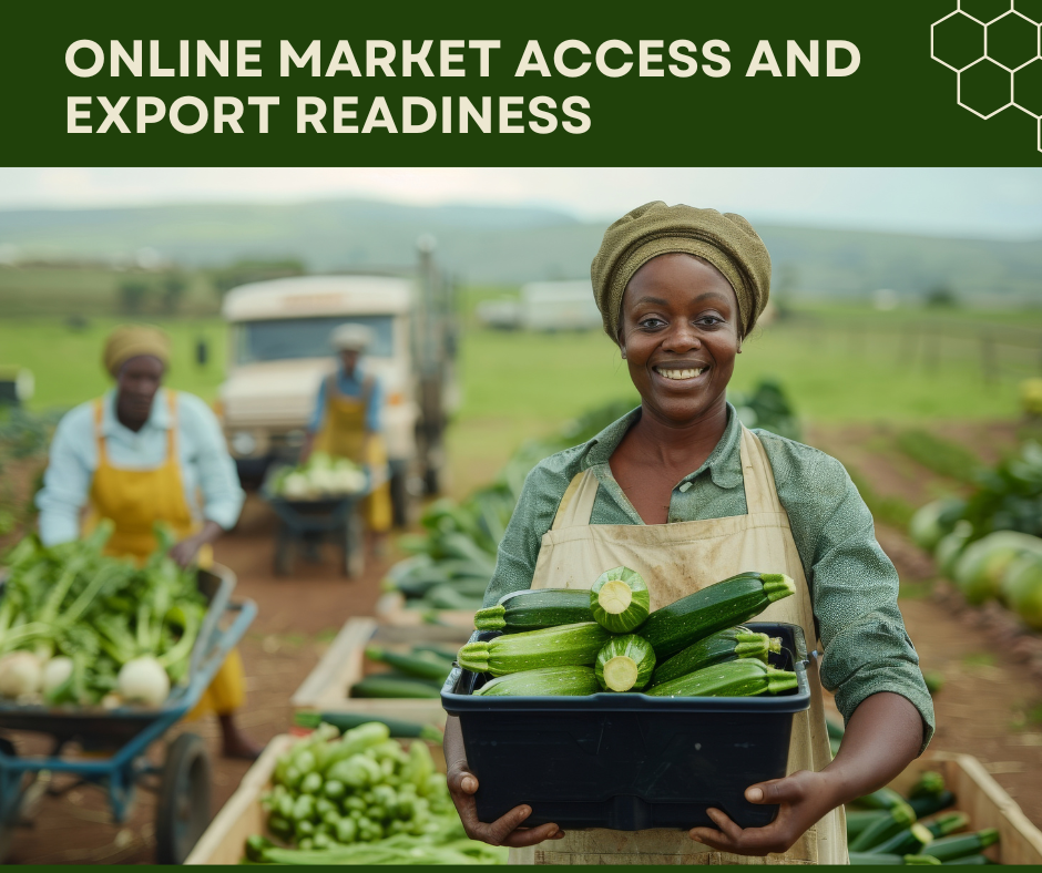 Online Market Access and Export Readiness
