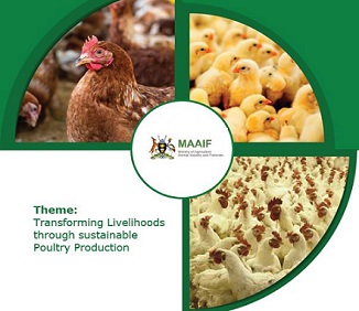 Poultry Training Manual