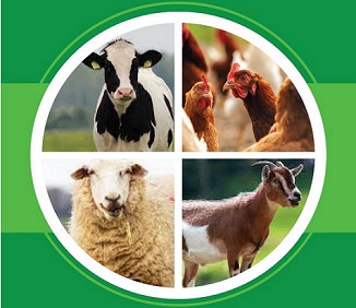 Livestock Production Manual